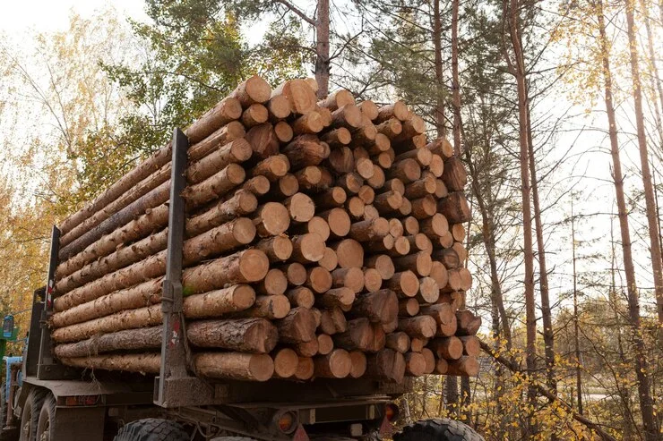 grume-camion-de-25-steres-1-2.webp